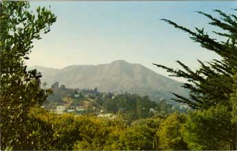 Mt. Tamalpais view